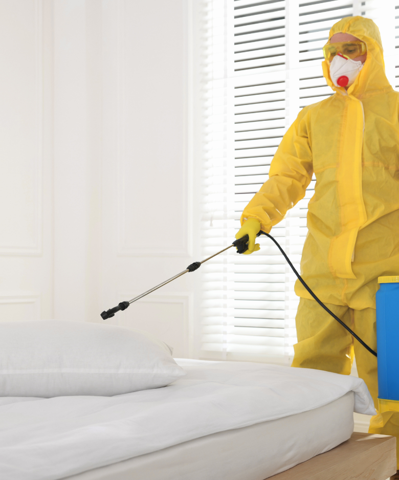 Professional Pest Control Team in Birdwood